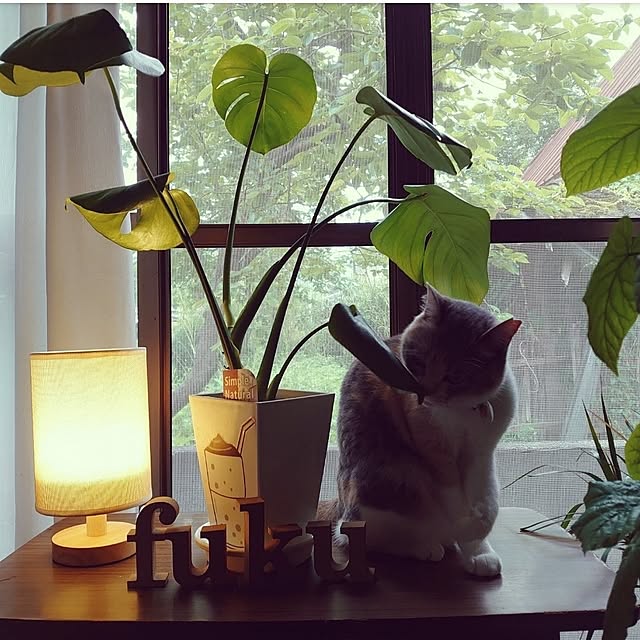 fukuさんの部屋