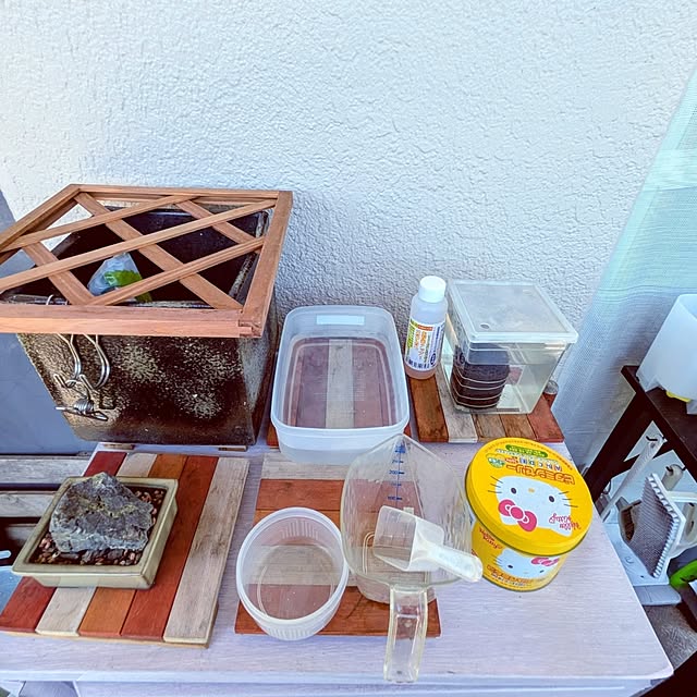 mi-saさんの部屋