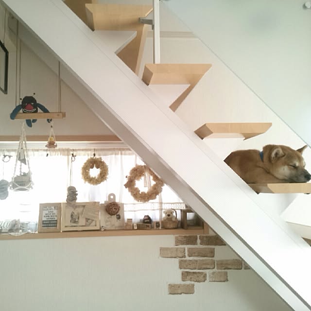 kotaさんの実例写真