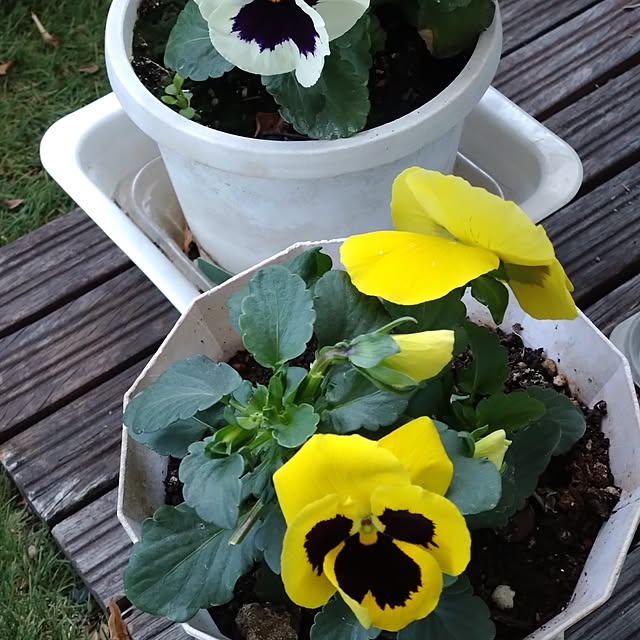 kakkaさんの部屋