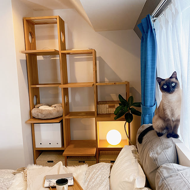 Noaさんの部屋