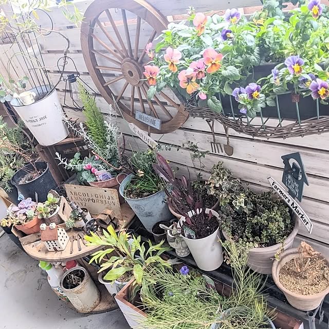 ichi.さんの部屋