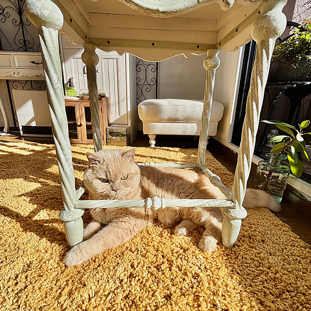 naokoさんの部屋