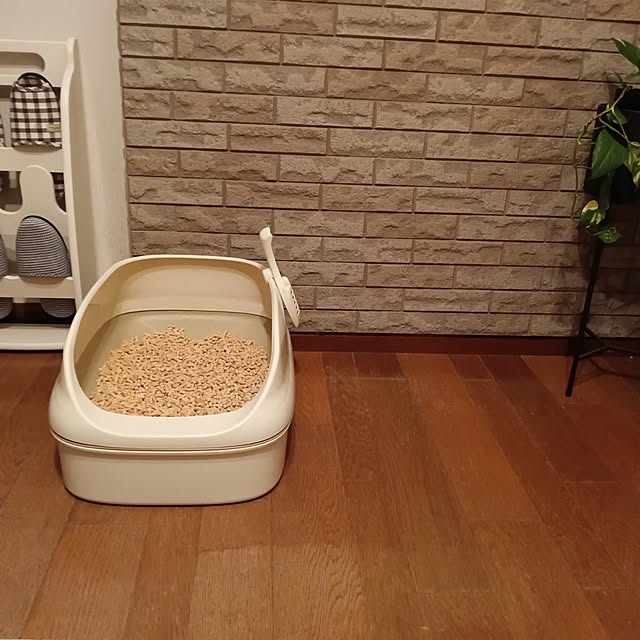 sa.yさんの部屋