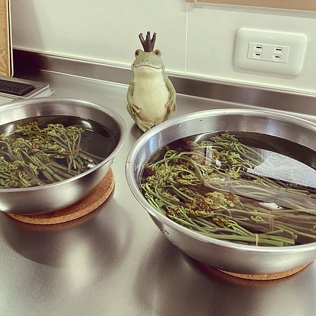 richanさんの実例写真