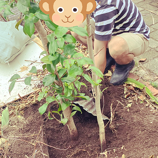 kikiさんの部屋