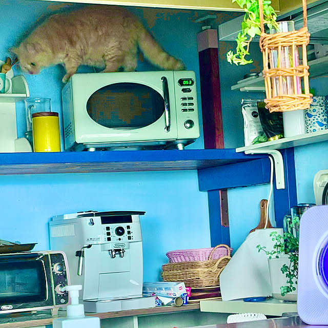 naokoさんの実例写真