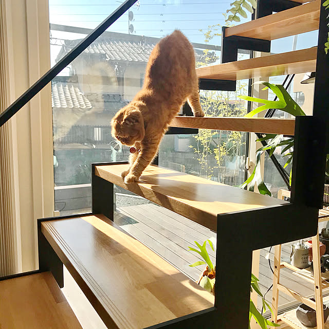 hm_myhomeさんの実例写真