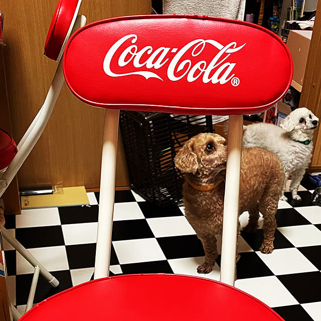 knsmyさんの実例写真