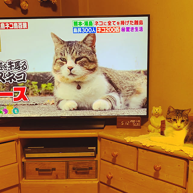 yuraさんの実例写真