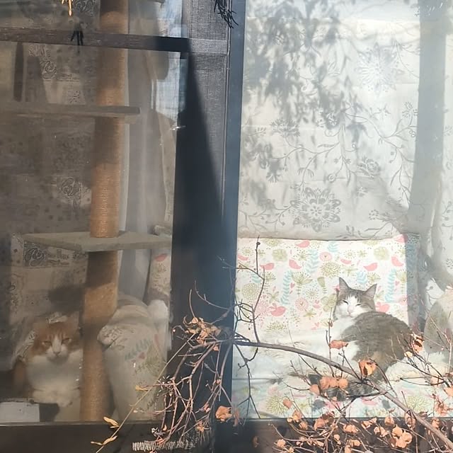 mori_6_12さんの部屋