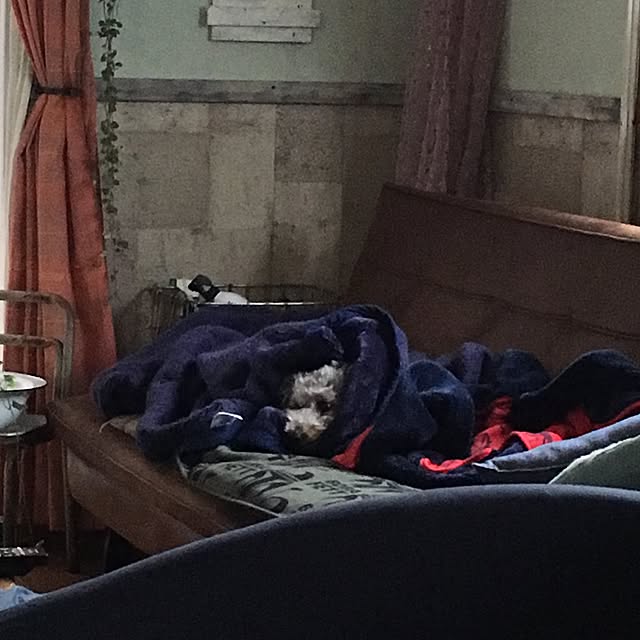 muuさんの実例写真