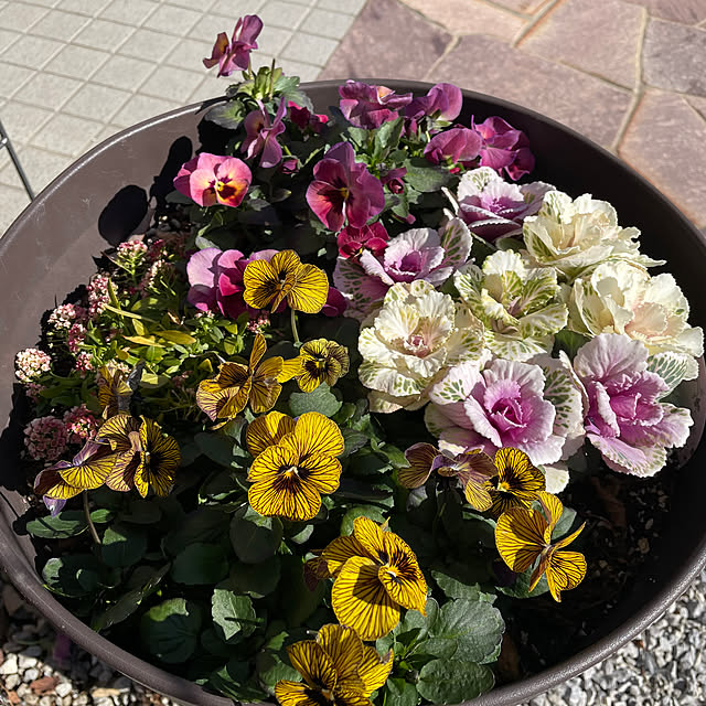 ronronさんの部屋