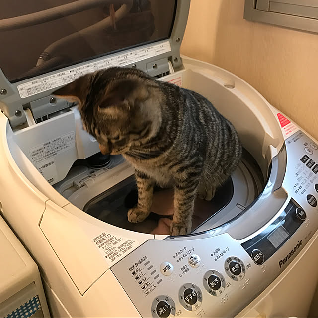 ako_a_kikoさんの実例写真