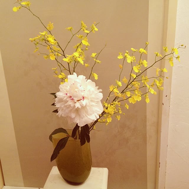 ohama147さんの実例写真