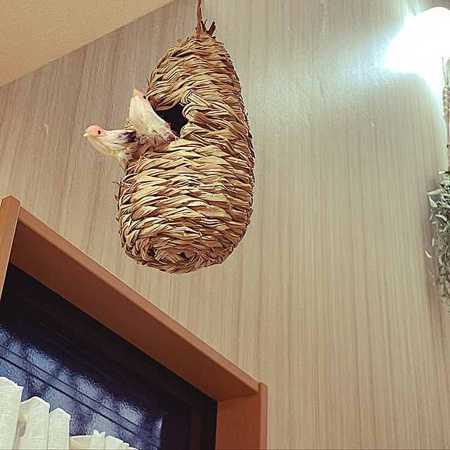 kiyomiさんの実例写真