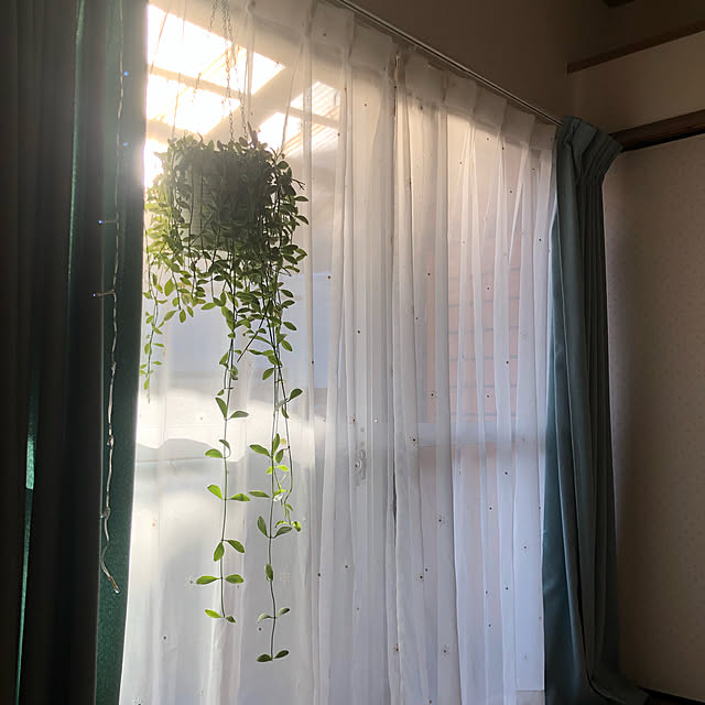 kyoko1124koさんの実例写真