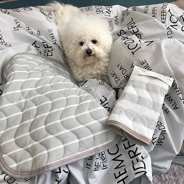 unichanさんの実例写真