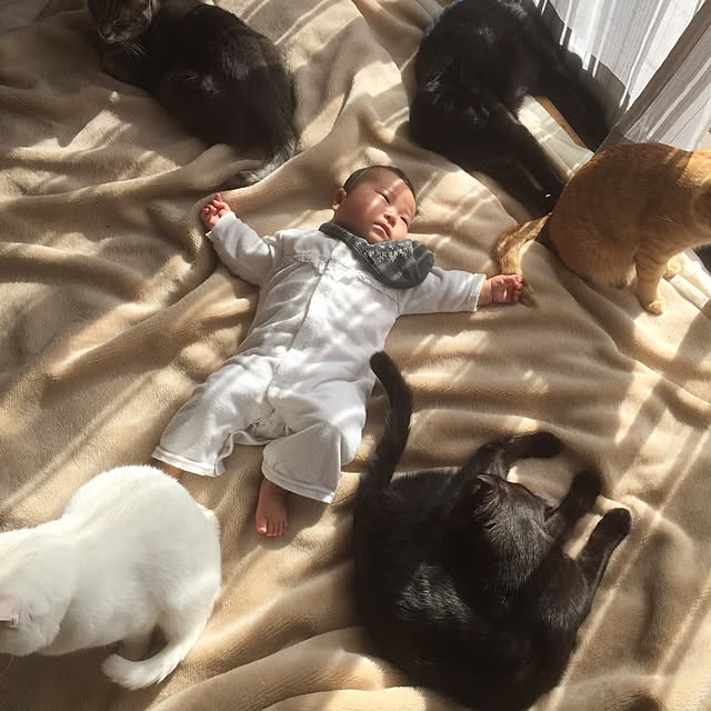 Chuppeetaさんの実例写真