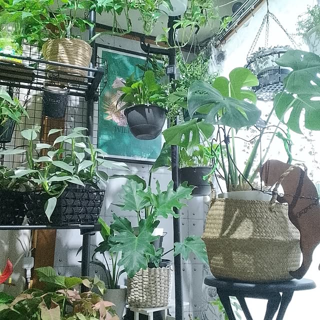 runaさんの実例写真