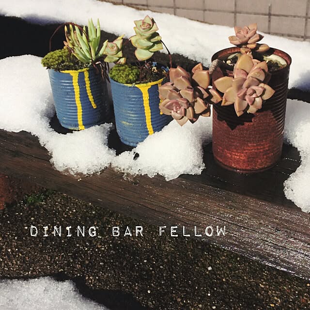 Fellowさんの実例写真