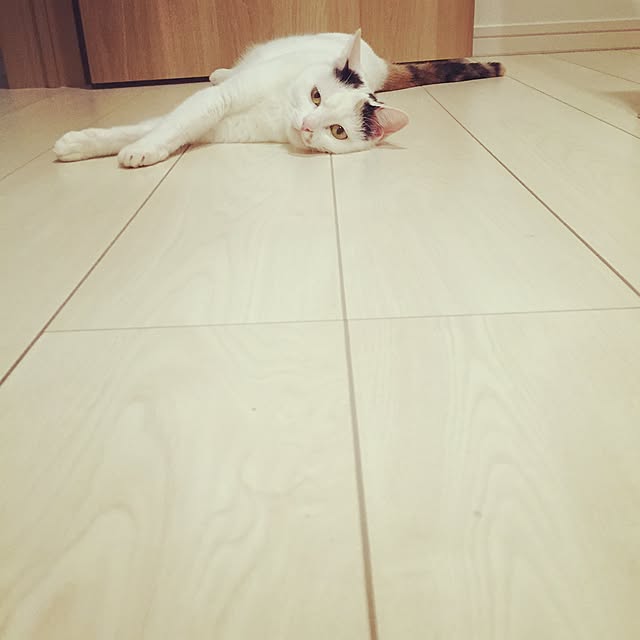 aaakoさんの実例写真
