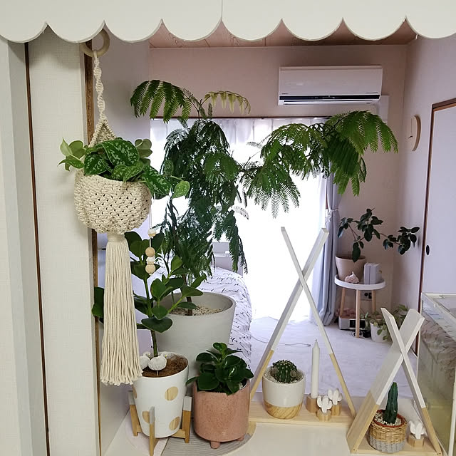 ...t_m_eee...さんの実例写真