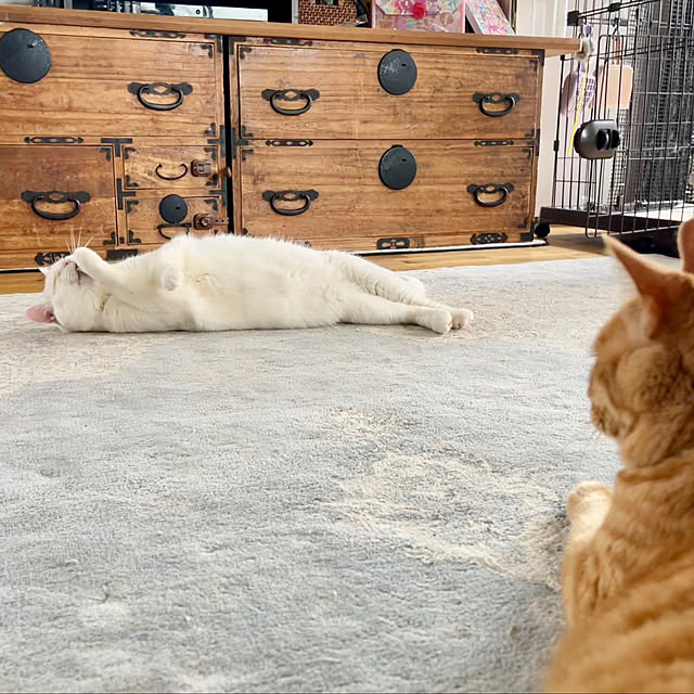 Maruさんの実例写真