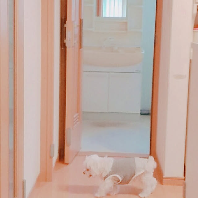 magnoliaさんの実例写真