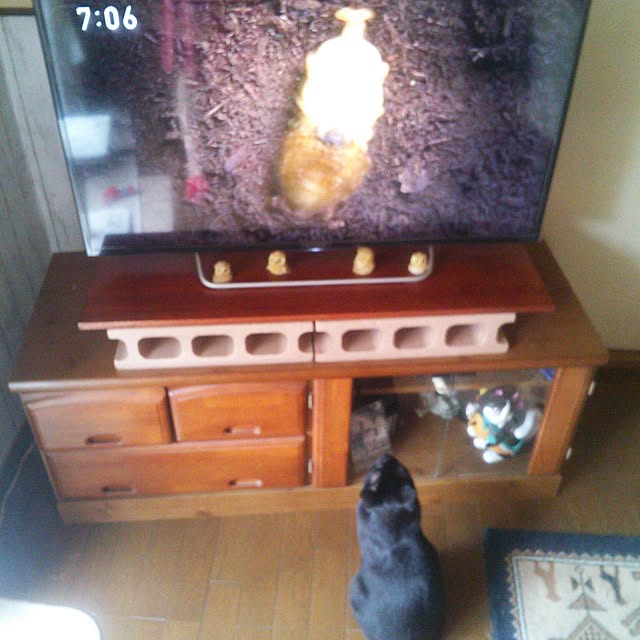 Tomopさんの実例写真