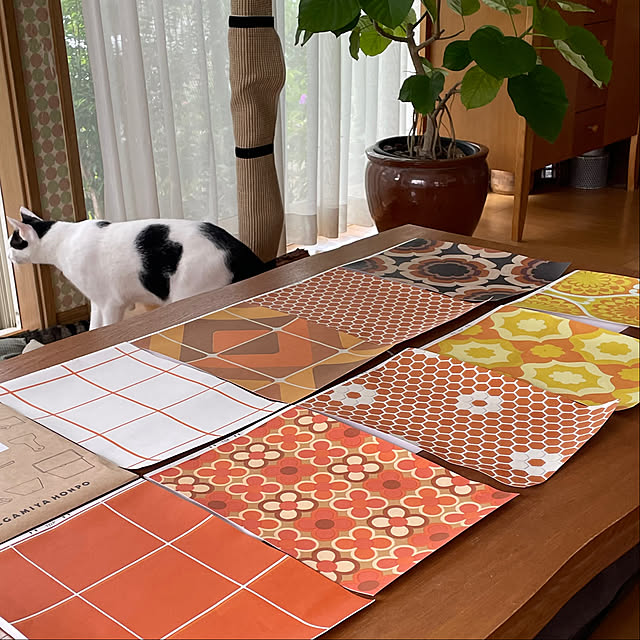 nobikoさんの部屋