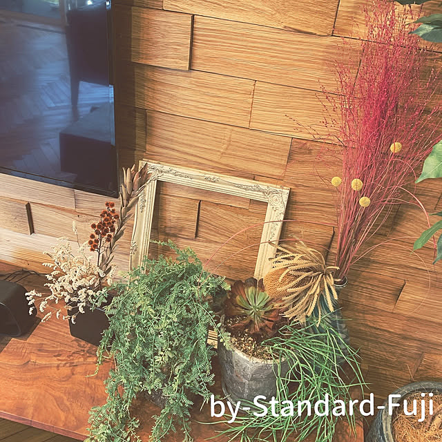 Standard.Fujiさんの実例写真