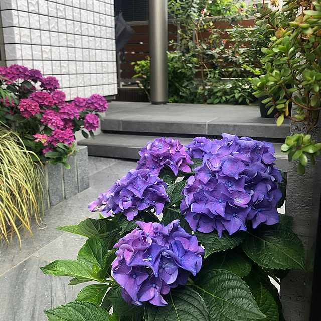Rororiさんの実例写真