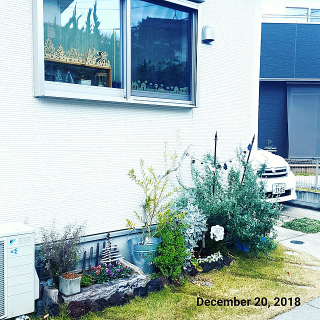 masarinn.さんの実例写真