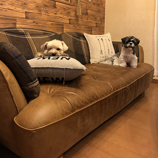 tenmaruさんの実例写真