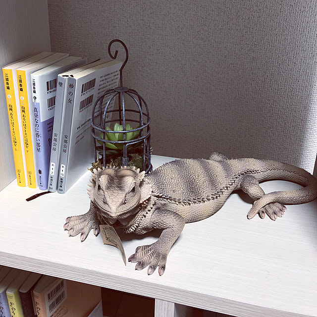 riiiさんの実例写真