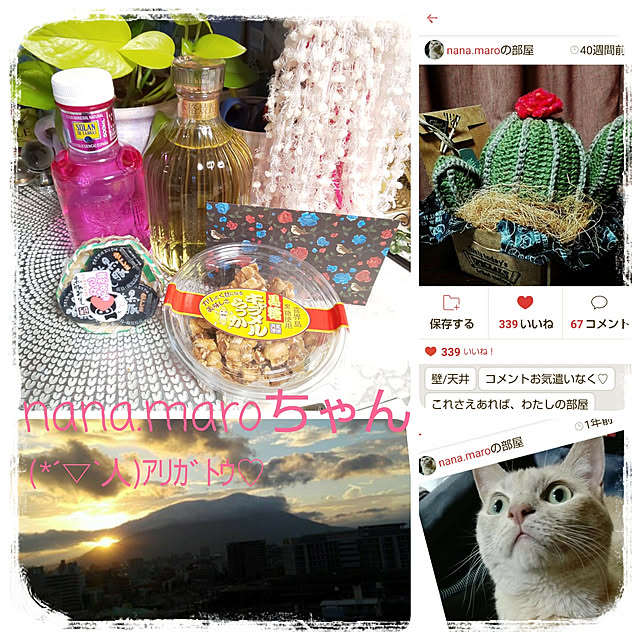 posauruさんの実例写真
