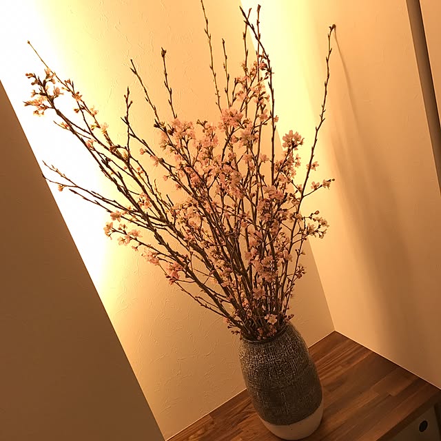 Kaoriさんの実例写真