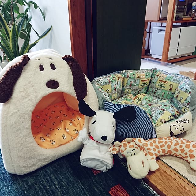 hopkeiさんの実例写真