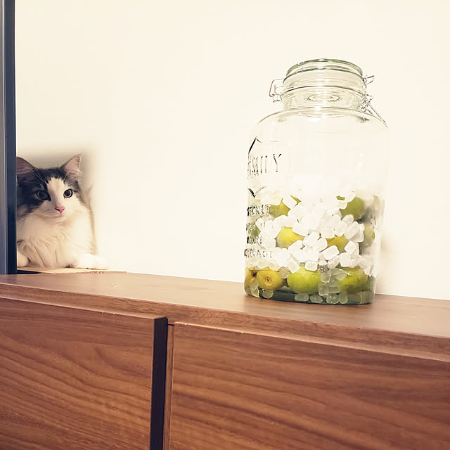 mofさんの実例写真