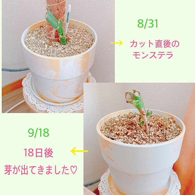 yuyuさんの部屋