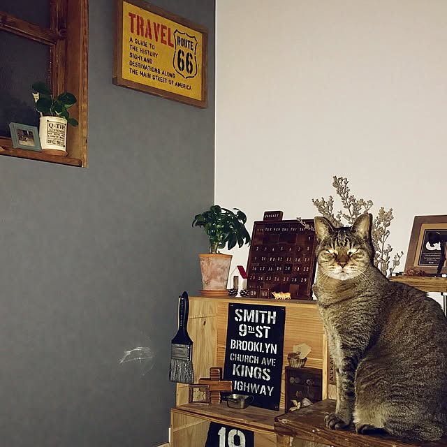 beansさんの実例写真