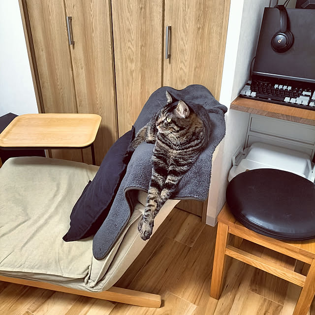 hihaさんの実例写真