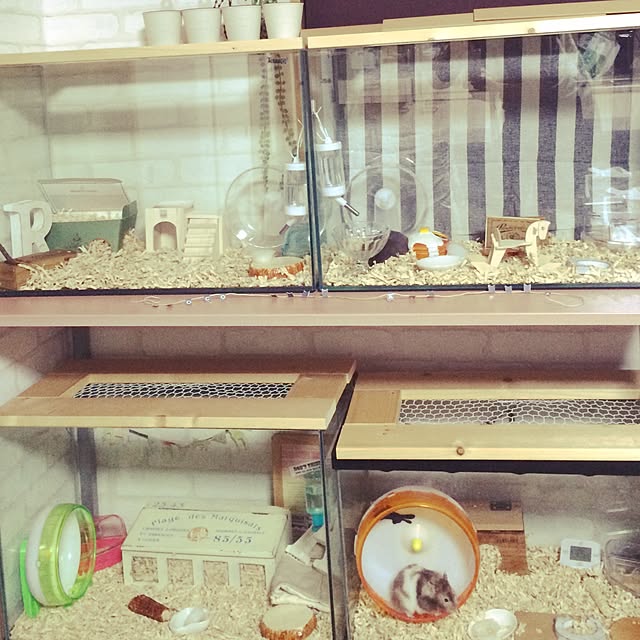 ribbonさんの実例写真