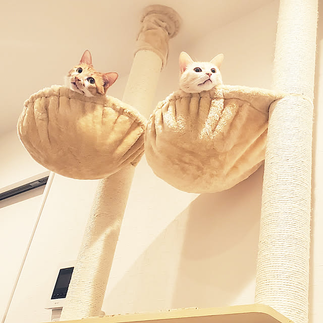 miiさんの実例写真