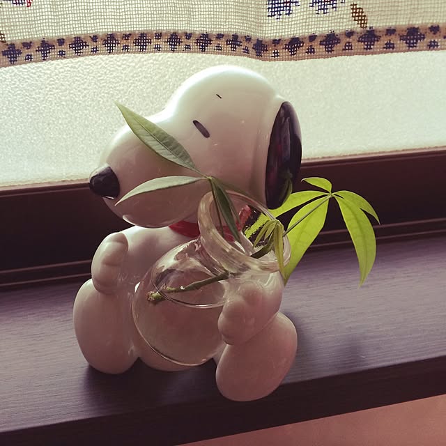 kotosukeさんの実例写真