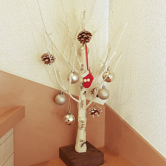 michhi_mouse_0507さんの実例写真