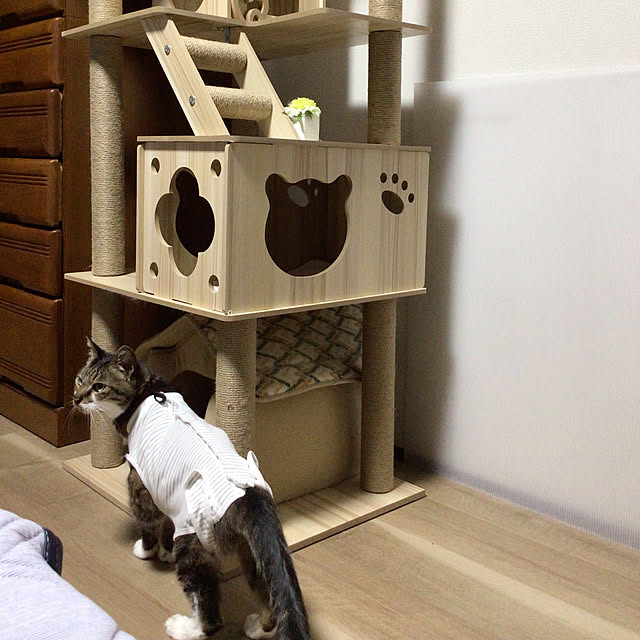 houenさんの部屋