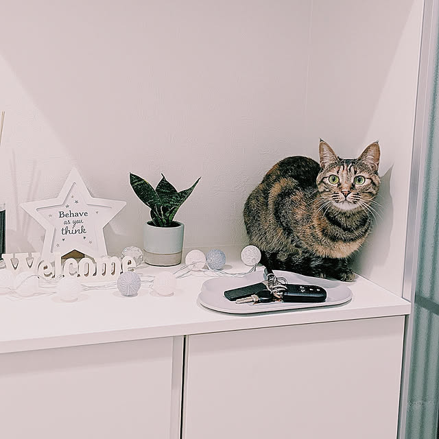 pikuさんの実例写真