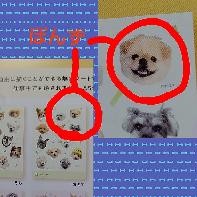 yumirinさんの実例写真